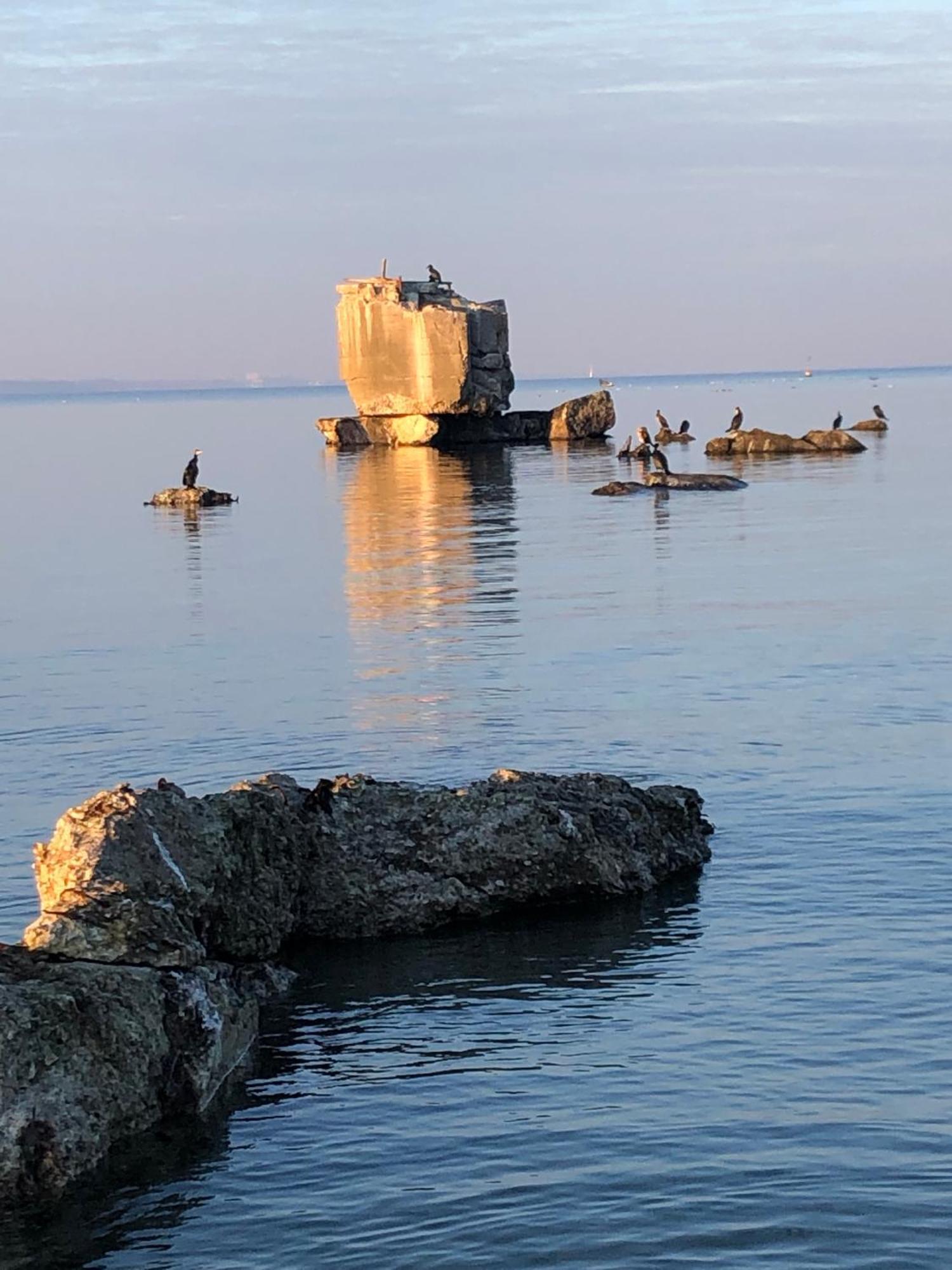 Neues Ferienhaus An Der Ostsee+Terrasse+Sauna Surendorf Dış mekan fotoğraf